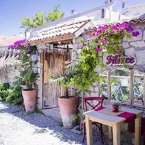 Fi̇li̇zce Konuk Evi Türkiye